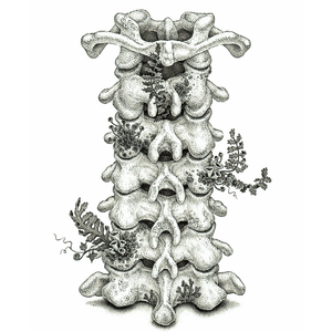 操逼摸大奶子视频
