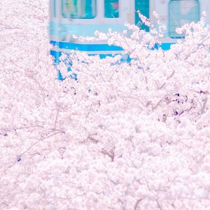 操逼摸大奶子视频
