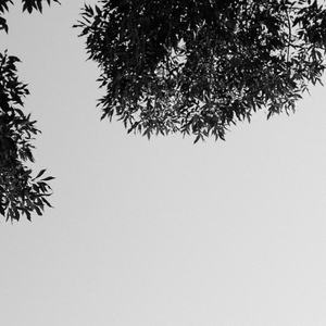 操逼摸大奶子视频
