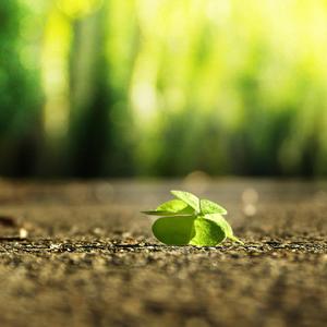 操逼摸大奶子视频
