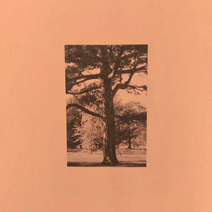 操逼摸大奶子视频
